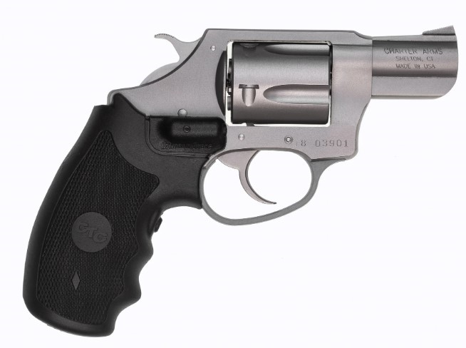 CHARTER ARMS UNDERCOVER .38 SPL. SMALL 5 SHOT 2IN FIXED STANDARD STAINLESS STEEL 73824 - Taurus Savings